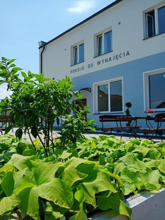 Pod Kogucikiem Aparthotel Krzyzanowice ภายนอก รูปภาพ